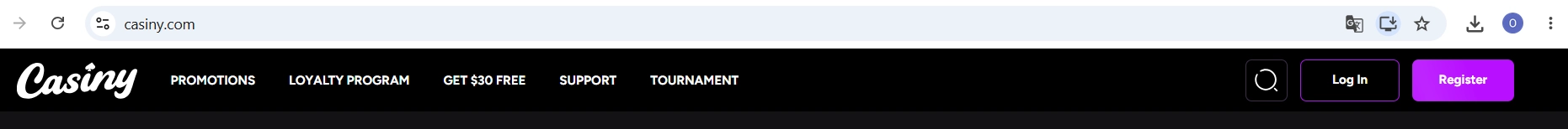 Current official Casiny header showing the Log In control and official domain context